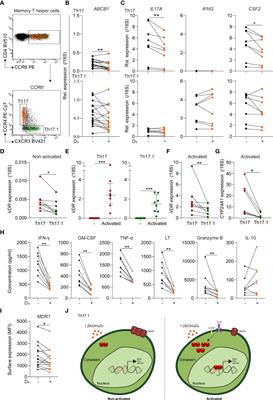 Improving Glucocorticoid Sensitivity of Brain-Homing CD4+ T Helper Cells by Steroid Hormone Crosstalk